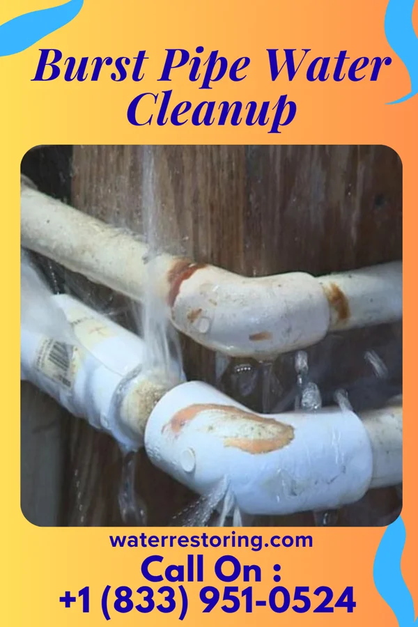 Burst Pipe Water Cleanup in Enterprise, OK