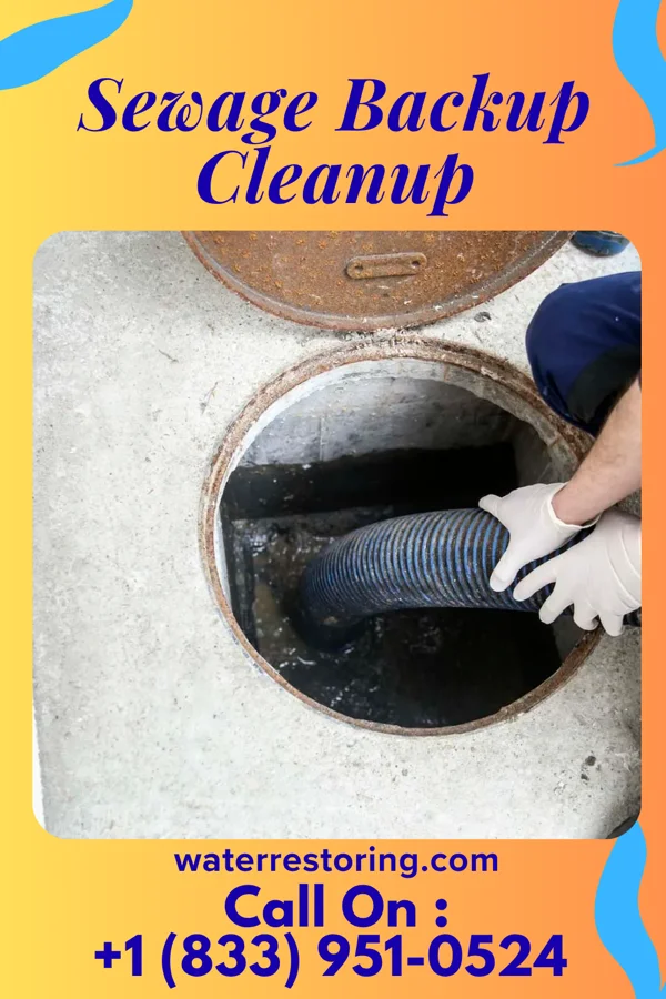 Sewage Backup Cleanup in Enterprise, OK